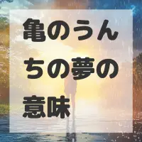 亀のうんちの夢のサムネイル画像