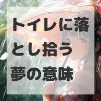 トイレに落とし拾う夢のサムネイル画像