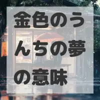 金色のうんちの夢のサムネイル画像