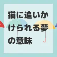 猫に追いかけられる夢のサムネイル画像