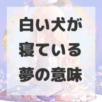 白い犬が寝ている夢のサムネイル画像
