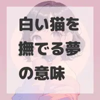 白い猫を撫でる夢のサムネイル画像