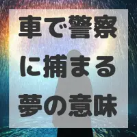 車で警察に捕まる夢のサムネイル画像