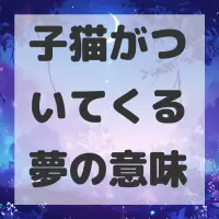 子猫がついてくる夢のサムネイル画像