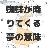蜘蛛が降りてくる夢のサムネイル画像