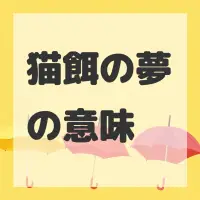 猫餌の夢のサムネイル画像