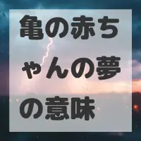 亀の赤ちゃんの夢のサムネイル画像