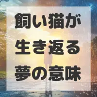 飼い猫が生き返る夢のサムネイル画像