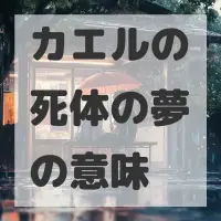 カエルの死体の夢のサムネイル画像