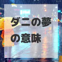 ダニの夢のサムネイル画像