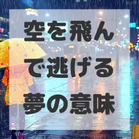 空を飛んで逃げる夢のサムネイル画像
