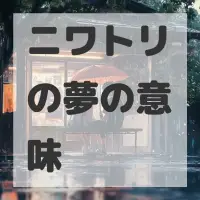 ニワトリの夢のサムネイル画像