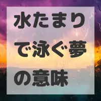 水たまりで泳ぐ夢のサムネイル画像
