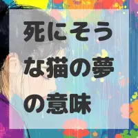 死にそうな猫の夢のサムネイル画像