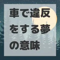 車で違反をする夢のサムネイル画像