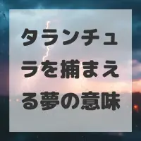 タランチュラを捕まえる夢のサムネイル画像
