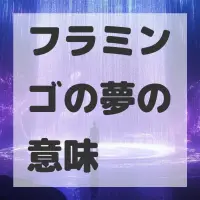 フラミンゴの夢のサムネイル画像