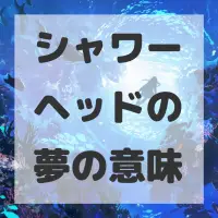 シャワーヘッドの夢のサムネイル画像