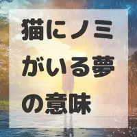 猫にノミがいる夢のサムネイル画像