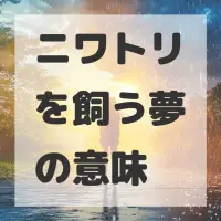 ニワトリを飼う夢のサムネイル画像