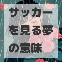 サッカーを見る夢のサムネイル画像