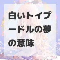 白いトイプードルの夢のサムネイル画像