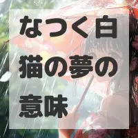 なつく白猫の夢のサムネイル画像