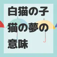 白猫の子猫の夢のサムネイル画像