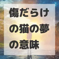 傷だらけの猫の夢のサムネイル画像