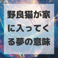 野良猫が家に入ってくる夢のサムネイル画像