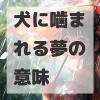 犬に噛まれる夢のサムネイル画像