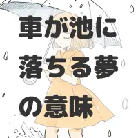 車が池に落ちる夢のサムネイル画像