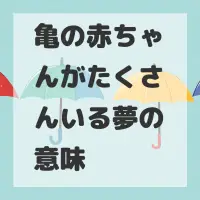 亀の赤ちゃんがたくさんいる夢のサムネイル画像