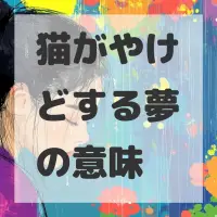 猫がやけどする夢のサムネイル画像