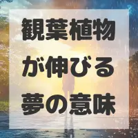 観葉植物が伸びる夢のサムネイル画像