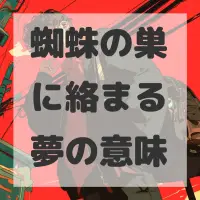 蜘蛛の巣に絡まる夢のサムネイル画像