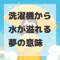 洗濯機から水が溢れる夢のサムネイル画像
