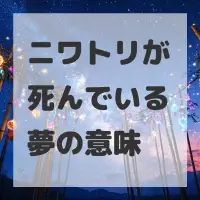 ニワトリが死んでいる夢のサムネイル画像
