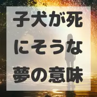 子犬が死にそうな夢のサムネイル画像