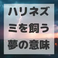 ハリネズミを飼う夢のサムネイル画像