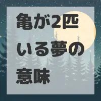 亀が2匹いる夢のサムネイル画像