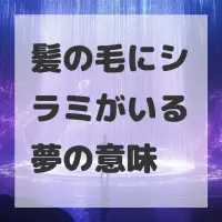 髪の毛にシラミがいる夢のサムネイル画像