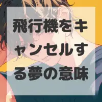 飛行機をキャンセルする夢のサムネイル画像