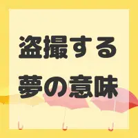 盗撮する夢のサムネイル画像