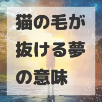 猫の毛が抜ける夢のサムネイル画像