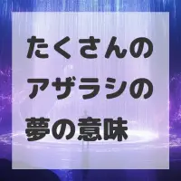 たくさんのアザラシの夢のサムネイル画像