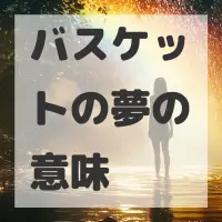 バスケットの夢のサムネイル画像