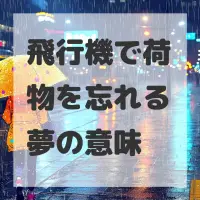 飛行機で荷物を忘れる夢のサムネイル画像