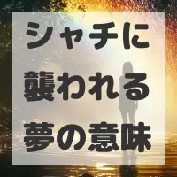 シャチに襲われる夢のサムネイル画像