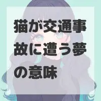 猫が交通事故に遭う夢のサムネイル画像